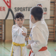 Karate Lehrgang Silvio Campari März 2022 KARATE VORARLBERG KARATE HOFSTEIG