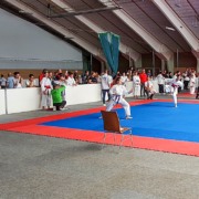 Österreichische Shotokan Meisterschaft 2022 St. Georgen im Attergau KARATE VORARLBERG