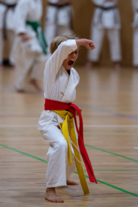 ASVÖ Nachwuchscup Samurai Karate Klub Egg Juni 2022 KARATE VORARLBERG