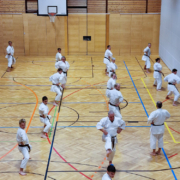 Karate Lehrgang Alessandro Cardinale Kematen Juli 2022 KARATE VORARLBERG