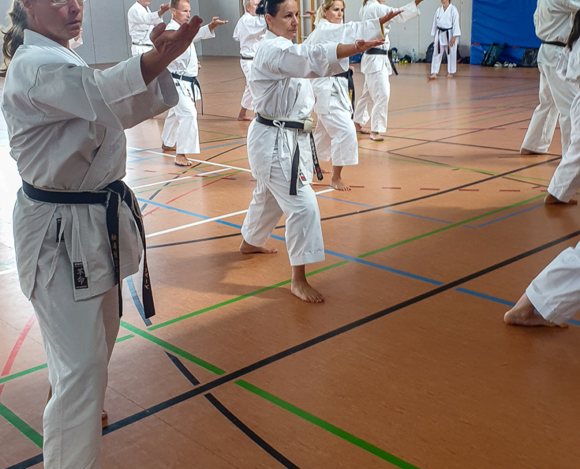 Karate Sommercamp Langenau Juli 2022 KARATE VORARLBERG