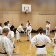 Karate Lehrgang Alessandro Cardinale Bushido Karate Klub Feldkirch KARATE VORARLBERG