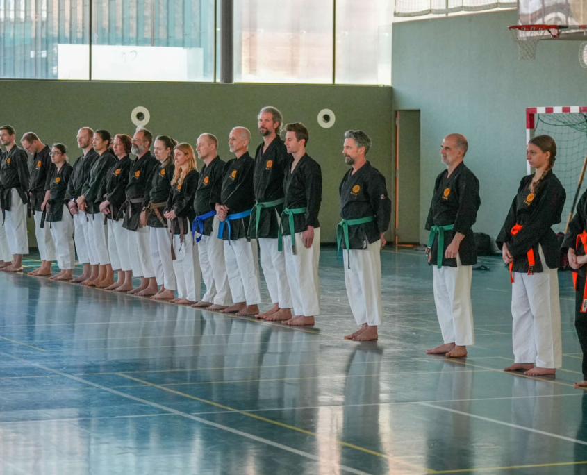 Kobudo in Vorarlberg: Erfolgreicher Lehrgang in Mäder mit internationaler Beteiligung