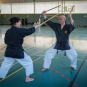 Kobudo in Vorarlberg: Erfolgreicher Lehrgang in Mäder mit internationaler Beteiligung