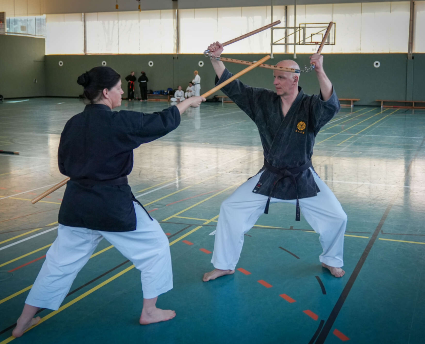 Kobudo in Vorarlberg: Erfolgreicher Lehrgang in Mäder mit internationaler Beteiligung
