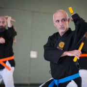 Kobudo in Vorarlberg: Erfolgreicher Lehrgang in Mäder mit internationaler Beteiligung