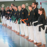 Kobudo in Vorarlberg: Erfolgreicher Lehrgang in Mäder mit internationaler Beteiligung