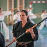 Kobudo in Vorarlberg: Erfolgreicher Lehrgang in Mäder mit internationaler Beteiligung