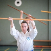 Kobudo in Vorarlberg: Erfolgreicher Lehrgang in Mäder mit internationaler Beteiligung