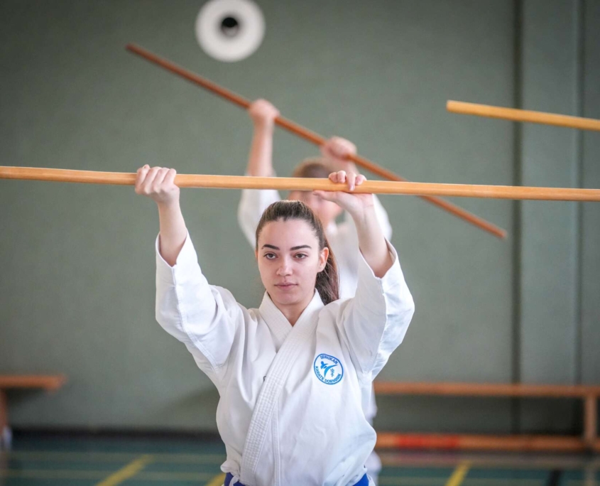 Kobudo in Vorarlberg: Erfolgreicher Lehrgang in Mäder mit internationaler Beteiligung