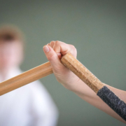 Kobudo in Vorarlberg: Erfolgreicher Lehrgang in Mäder mit internationaler Beteiligung