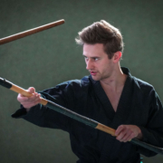 Kobudo in Vorarlberg: Erfolgreicher Lehrgang in Mäder mit internationaler Beteiligung