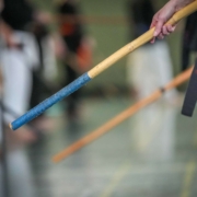 Kobudo in Vorarlberg: Erfolgreicher Lehrgang in Mäder mit internationaler Beteiligung