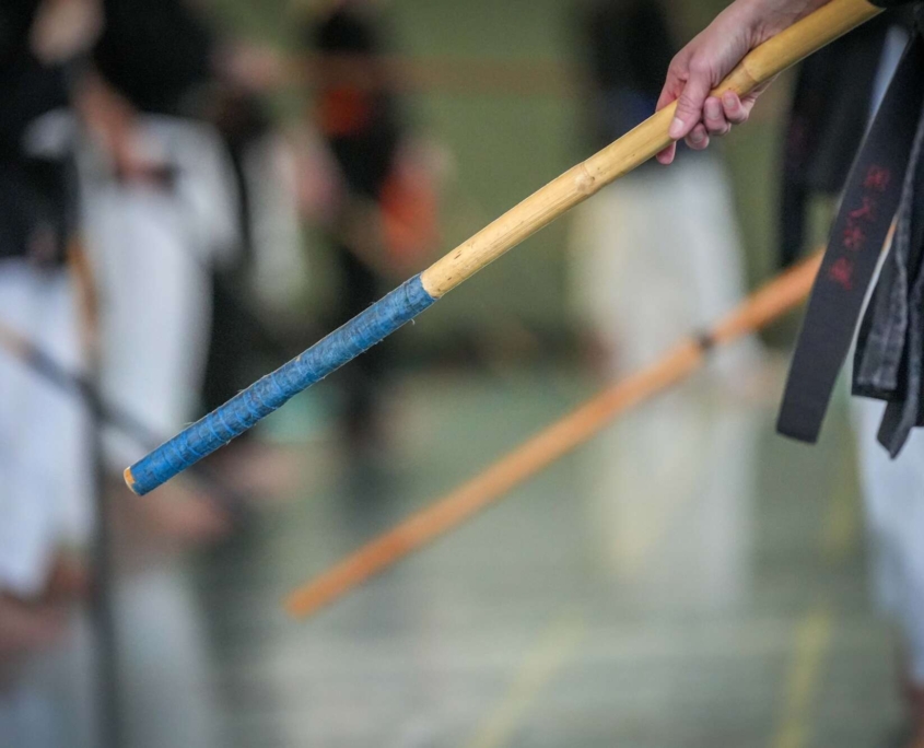 Kobudo in Vorarlberg: Erfolgreicher Lehrgang in Mäder mit internationaler Beteiligung