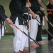 Kobudo in Vorarlberg: Erfolgreicher Lehrgang in Mäder mit internationaler Beteiligung